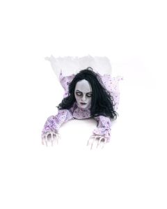  -  -
