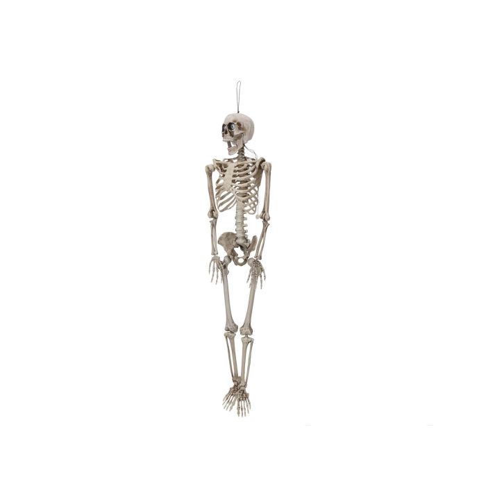 EUROPALMS Haloween Figure Skeleton moldable, animated, 160cm