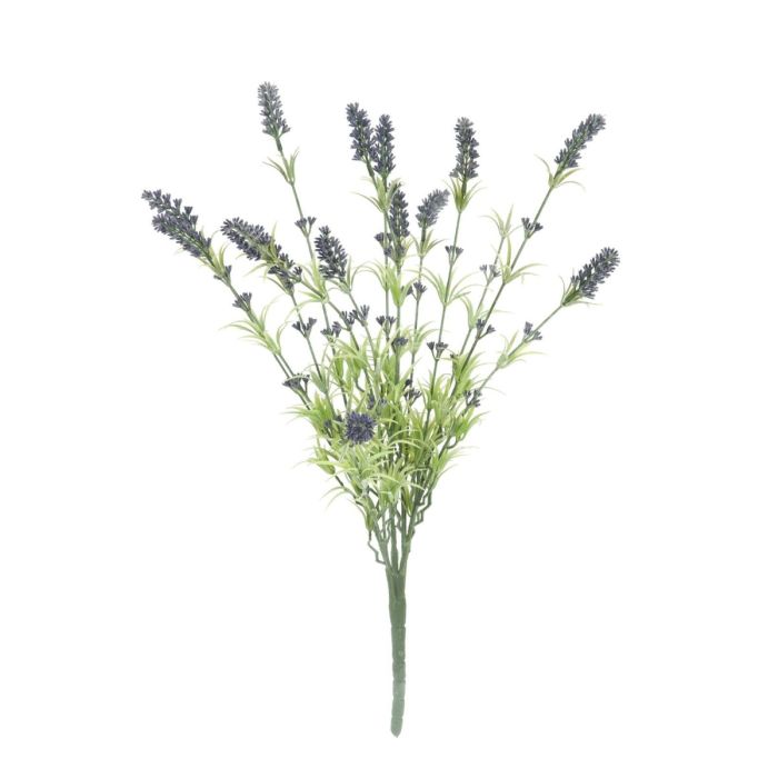 FeaturesLavender bush, tallColor: green-purple
With 13 flowers
Positioning: without
With approx 13 beautifully flowersTechnical specifications
Color: Purple
Material: PE ND polyethylene
Flowers: Pieces: ca. 13 pc/pcs
Le